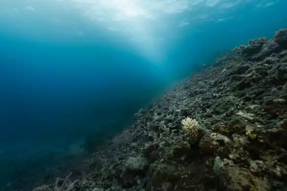 _FieldsofRubble_Fiji_134333673872236044_big-cine_deskt.webp