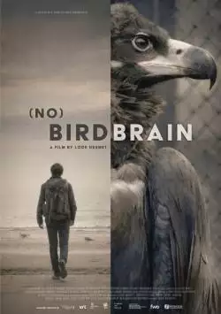 NO_BIRDBRAIN_Poster_134373378412518255_big-cine_deskt.webp