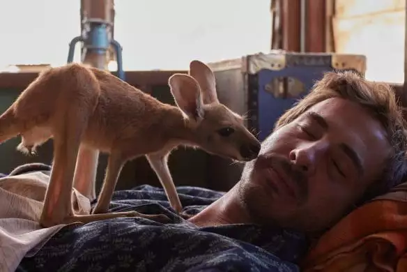 Kangaroo_134278126372780136_big-cine_deskt.webp