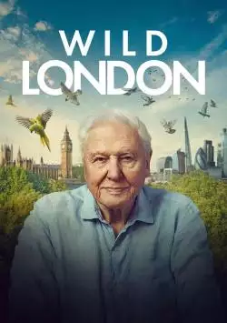 WildLondonPoster_134370595007654436_big-cine_deskt.webp