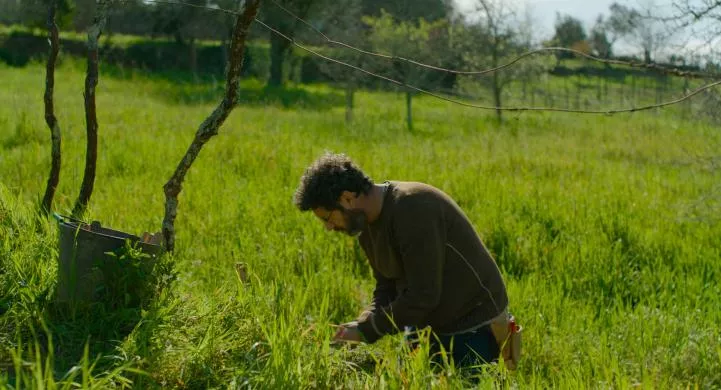 PortugueseHouseThe_134254764947242522_big-cine_deskt.webp