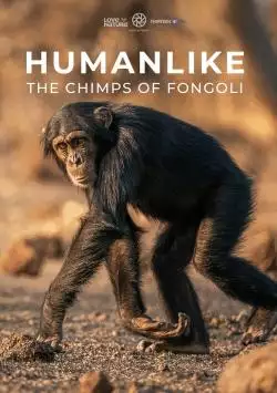 HumanLike_TheChimpsofFongoli_WEBSITEPOSTER05x853x1280_134370711885783287_big-cine_deskt.webp