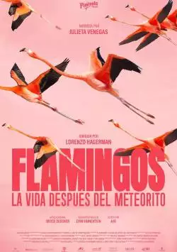 FlamingosPoster_134373206624551912_big-cine_deskt.webp