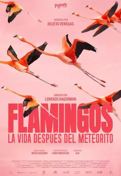 FlamingosPoster_134373206624551912_big-cine_deskt.webp