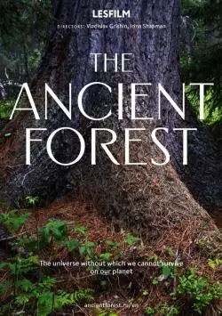 AncientForestPoster_134370658846659523_big-cine_deskt.webp