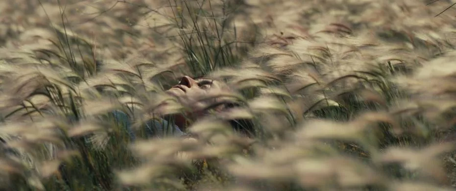Photo1Stills_wildgemis_dc_20240830_Mez_1187_134370558084228315_big-cine_deskt.webp