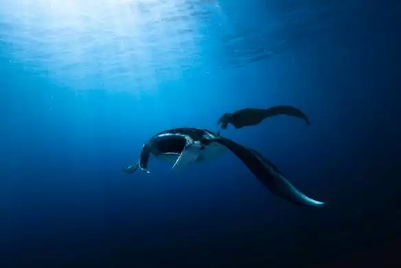 _DrawaqaPassage_Fiji_134333680014541105_big-cine_deskt.webp